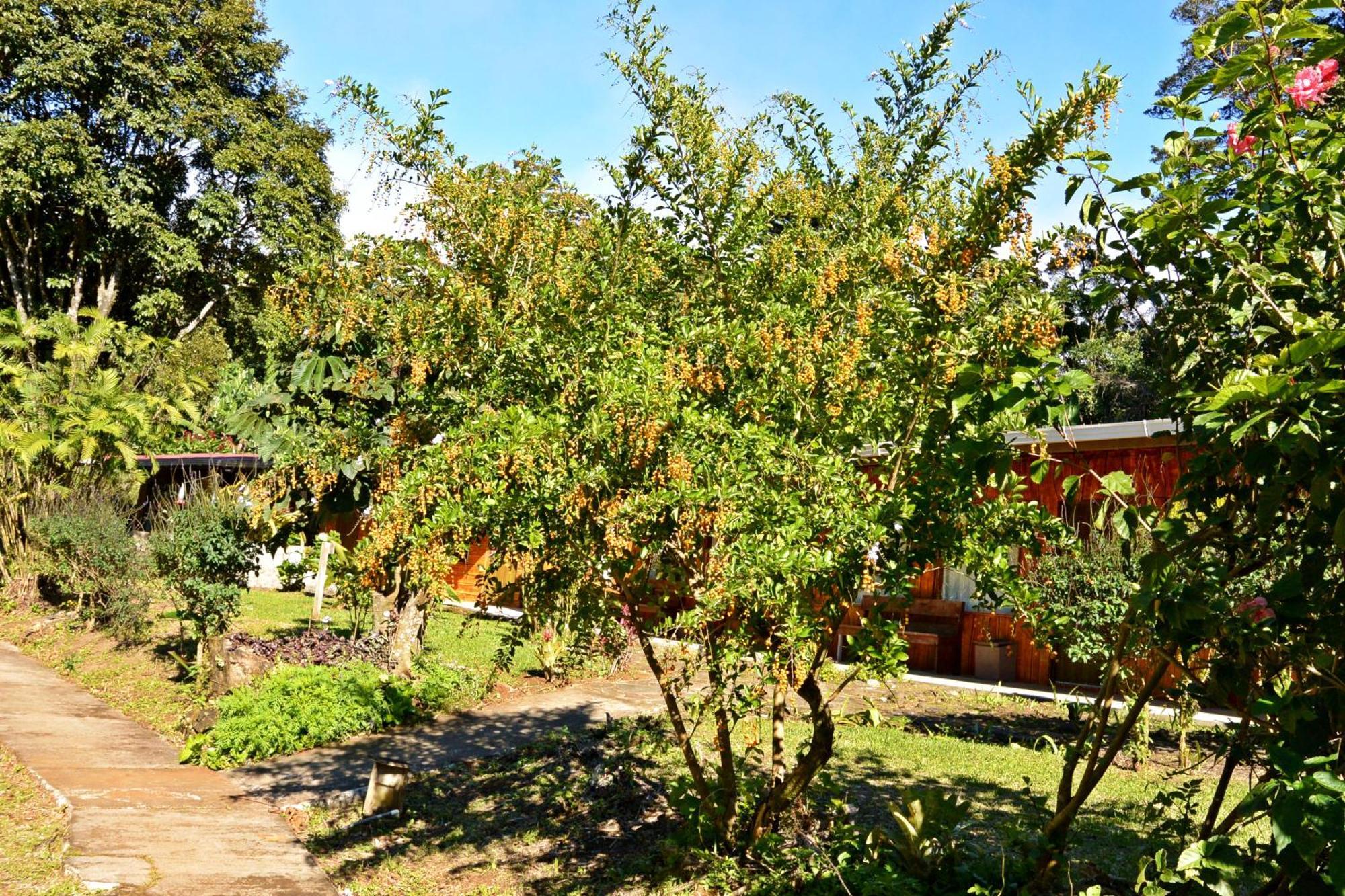 Elida Trails & Eco-Lodge Monteverde ภายนอก รูปภาพ